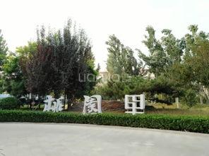 石家庄桃园爆料最新消息,揭秘神秘事件背后的真相 第1张 石家庄桃园爆料最新消息,揭秘神秘事件背后的真相 第1张